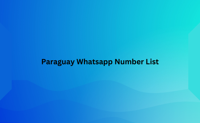 Paraguay Whatsapp Number List